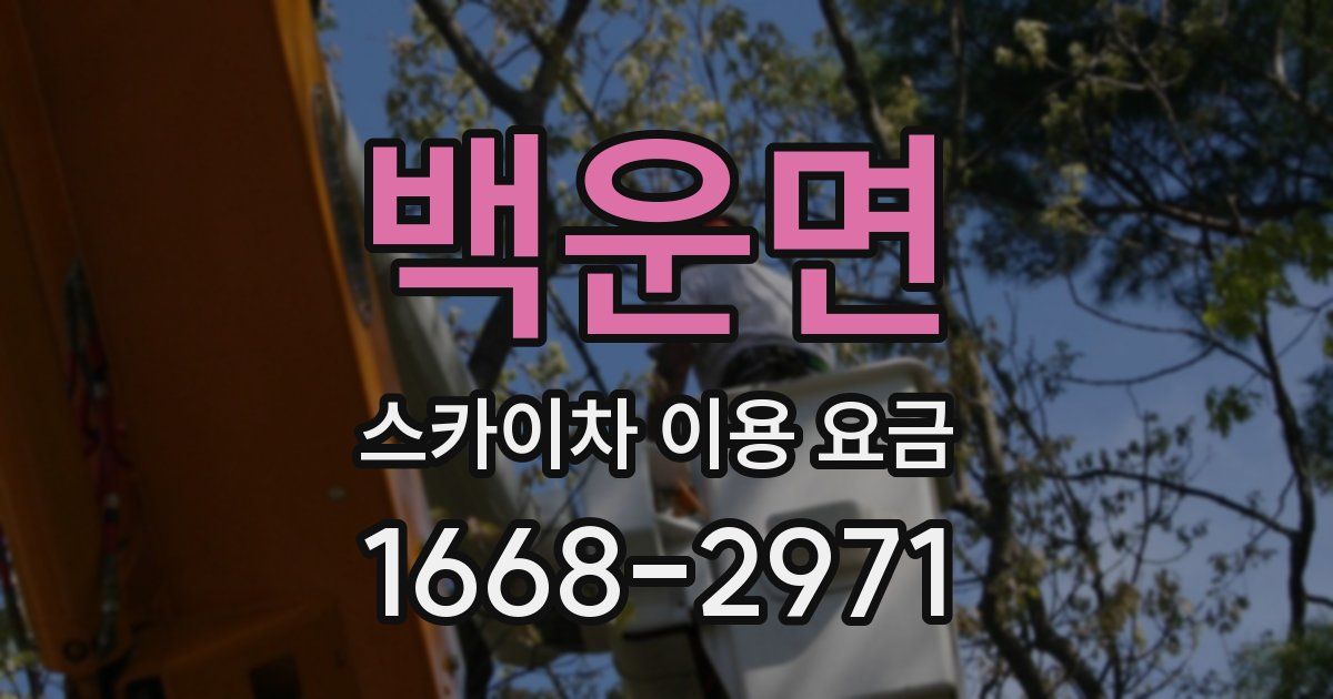 백운면 스카이차 이용 요금