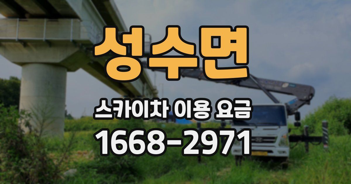 성수면 스카이차 이용 요금