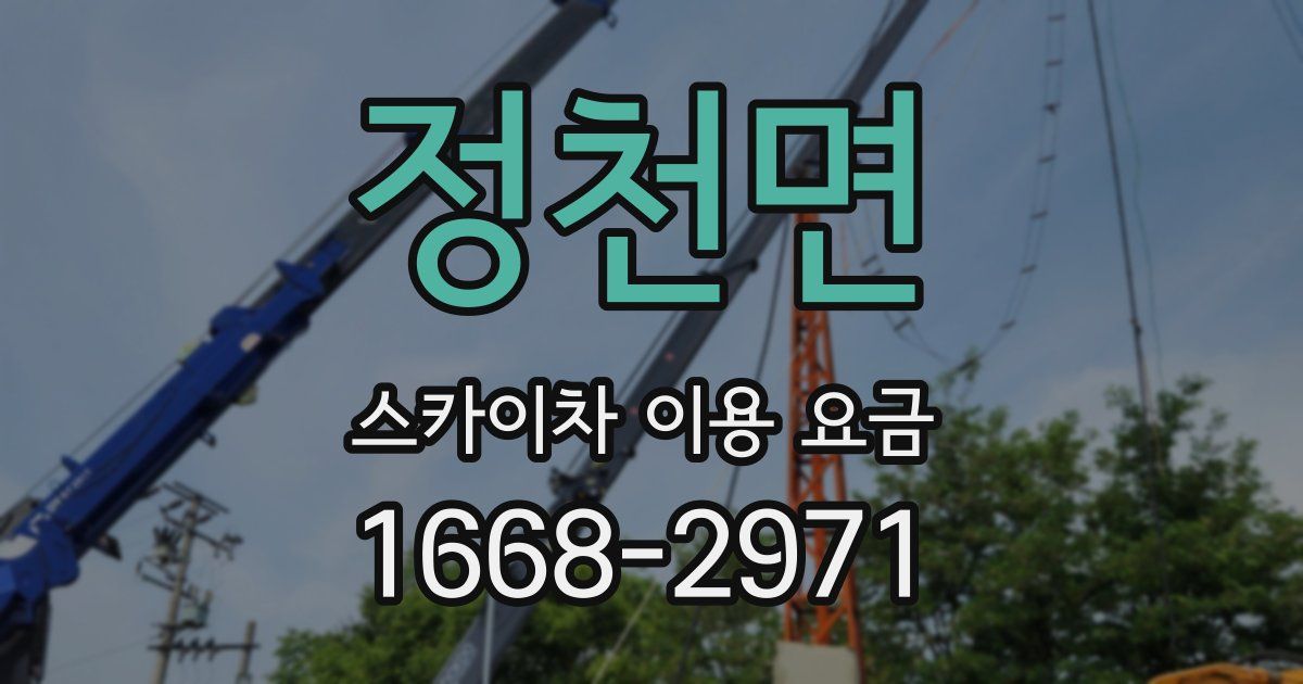 정천면 스카이차 이용 요금