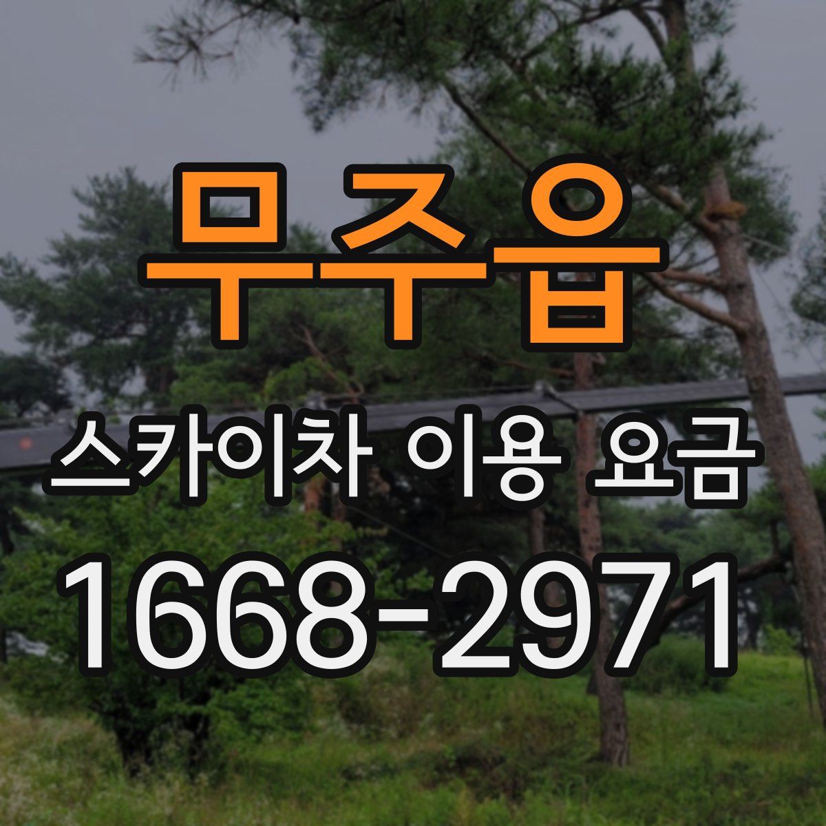 무주읍 스카이차 이용 요금