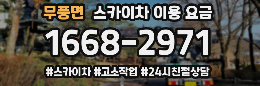 무풍면 스카이차 이용 요금