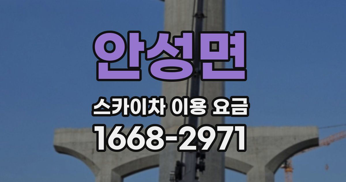 안성면 스카이차 이용 요금