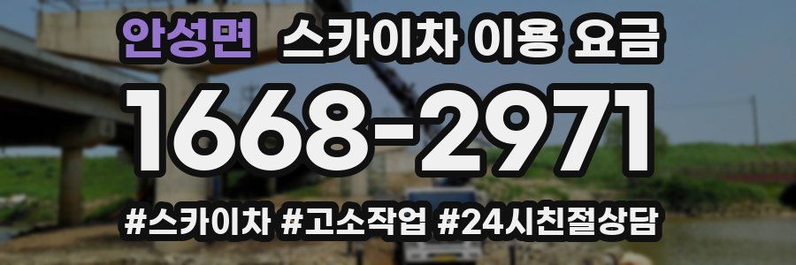 안성면 스카이차 이용 요금