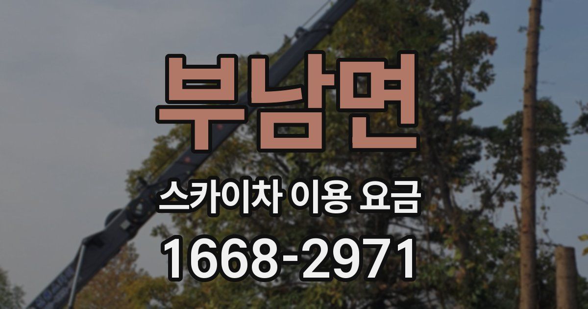 부남면 스카이차 이용 요금