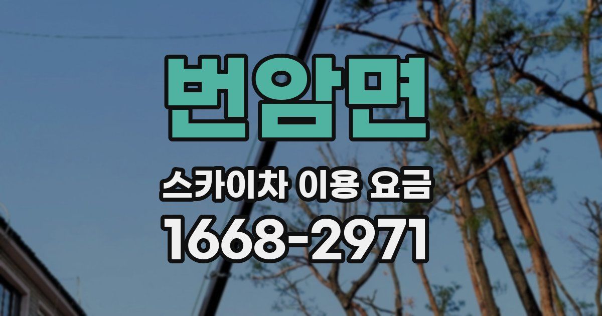 번암면 스카이차 이용 요금