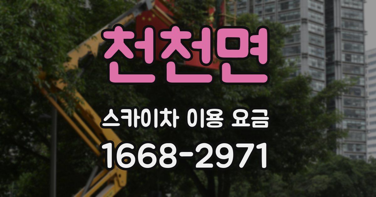 천천면 스카이차 이용 요금