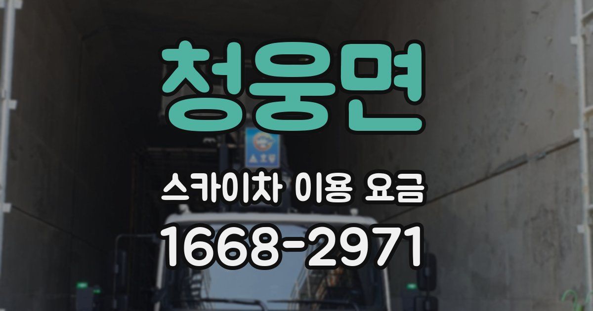청웅면 스카이차 이용 요금