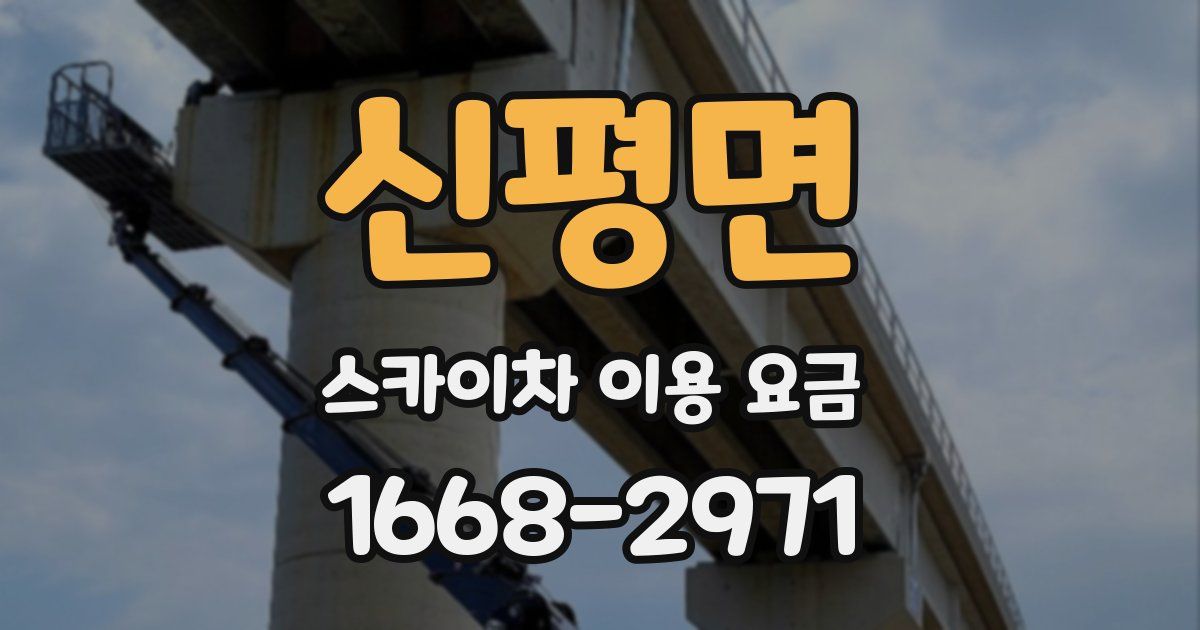 신평면 스카이차 이용 요금