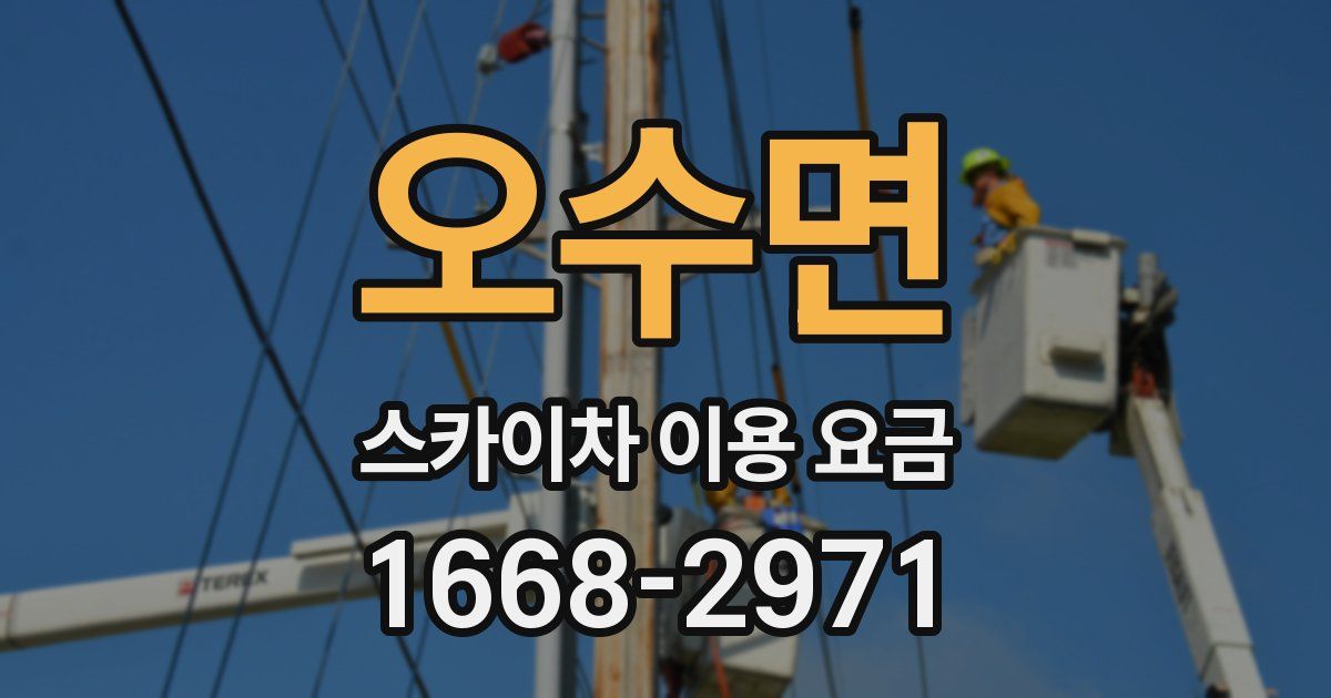 오수면 스카이차 이용 요금