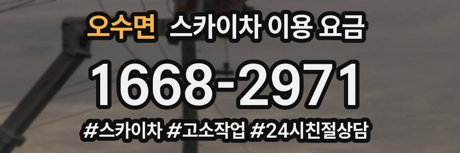오수면 스카이차 이용 요금
