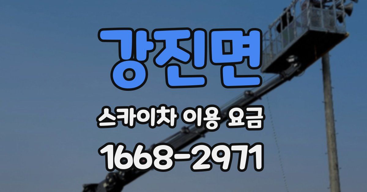강진면 스카이차 이용 요금
