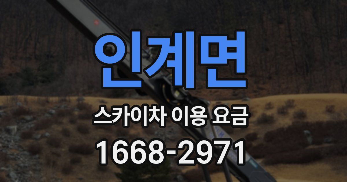 인계면 스카이차 이용 요금