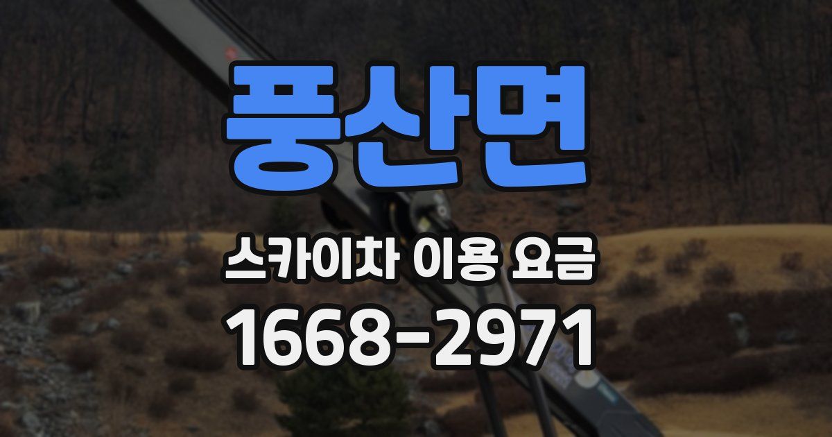 풍산면 스카이차 이용 요금