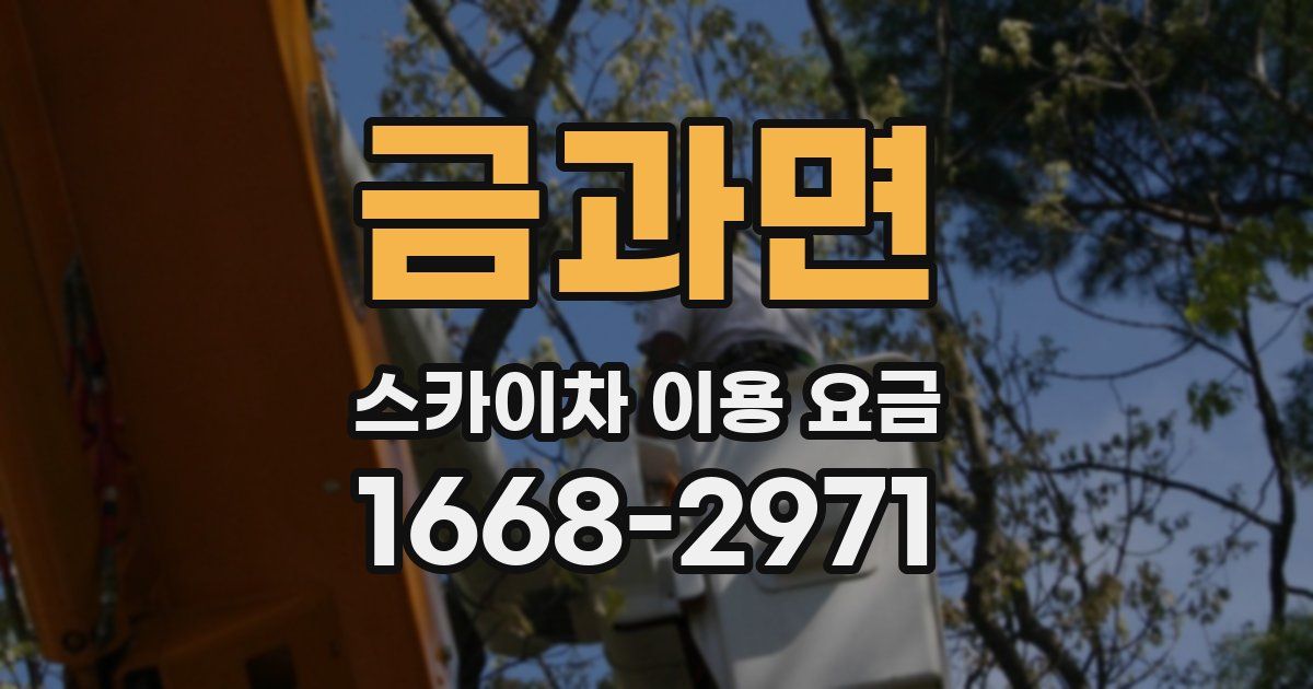 금과면 스카이차 이용 요금