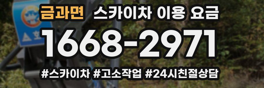 금과면 스카이차 이용 요금