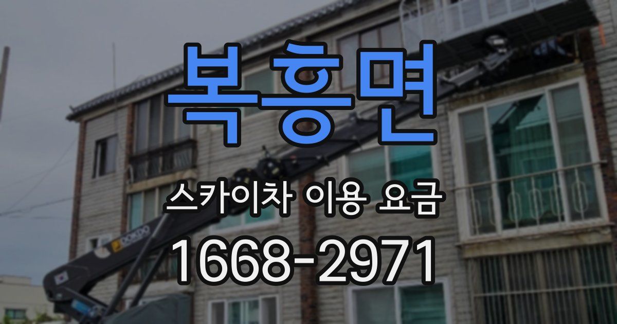 복흥면 스카이차 이용 요금