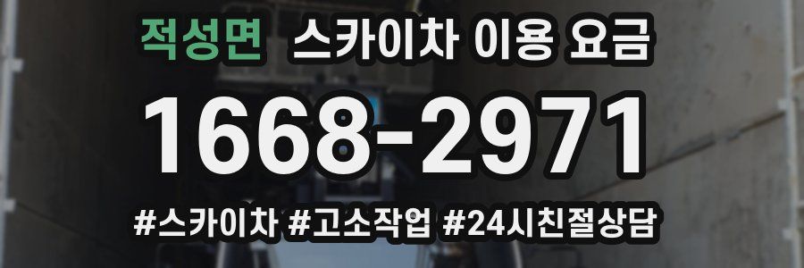 적성면 스카이차 이용 요금