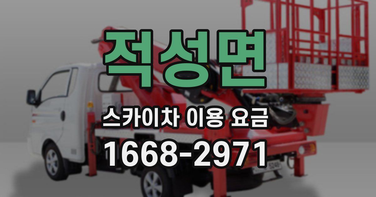 적성면 스카이차 이용 요금