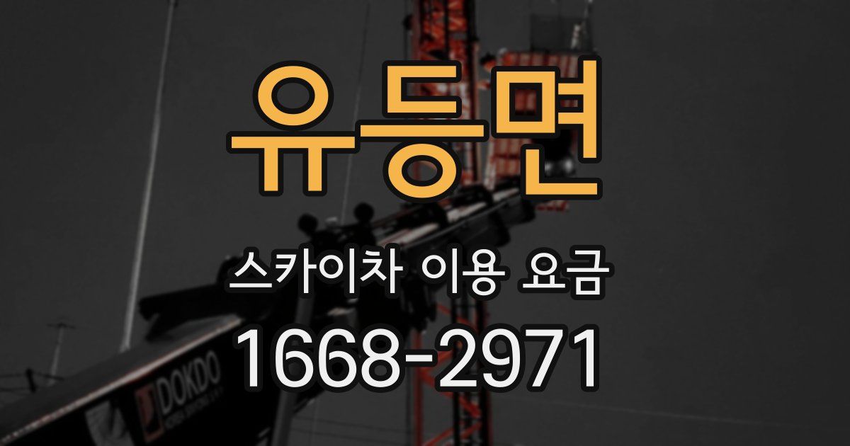 유등면 스카이차 이용 요금