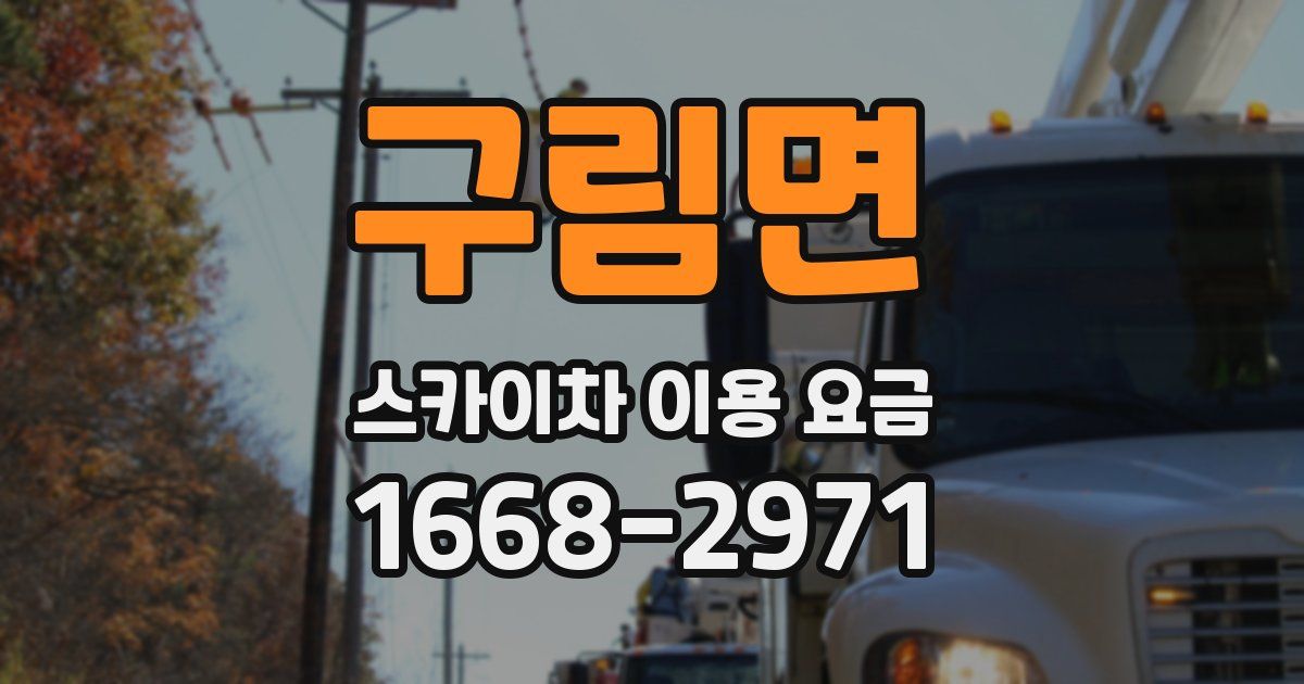 구림면 스카이차 이용 요금