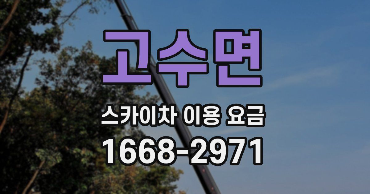 고수면 스카이차 이용 요금