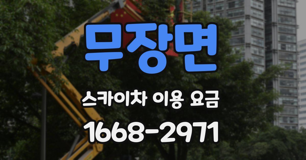 무장면 스카이차 이용 요금