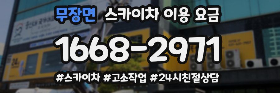 무장면 스카이차 이용 요금