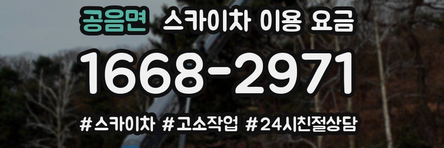 공음면 스카이차 이용 요금