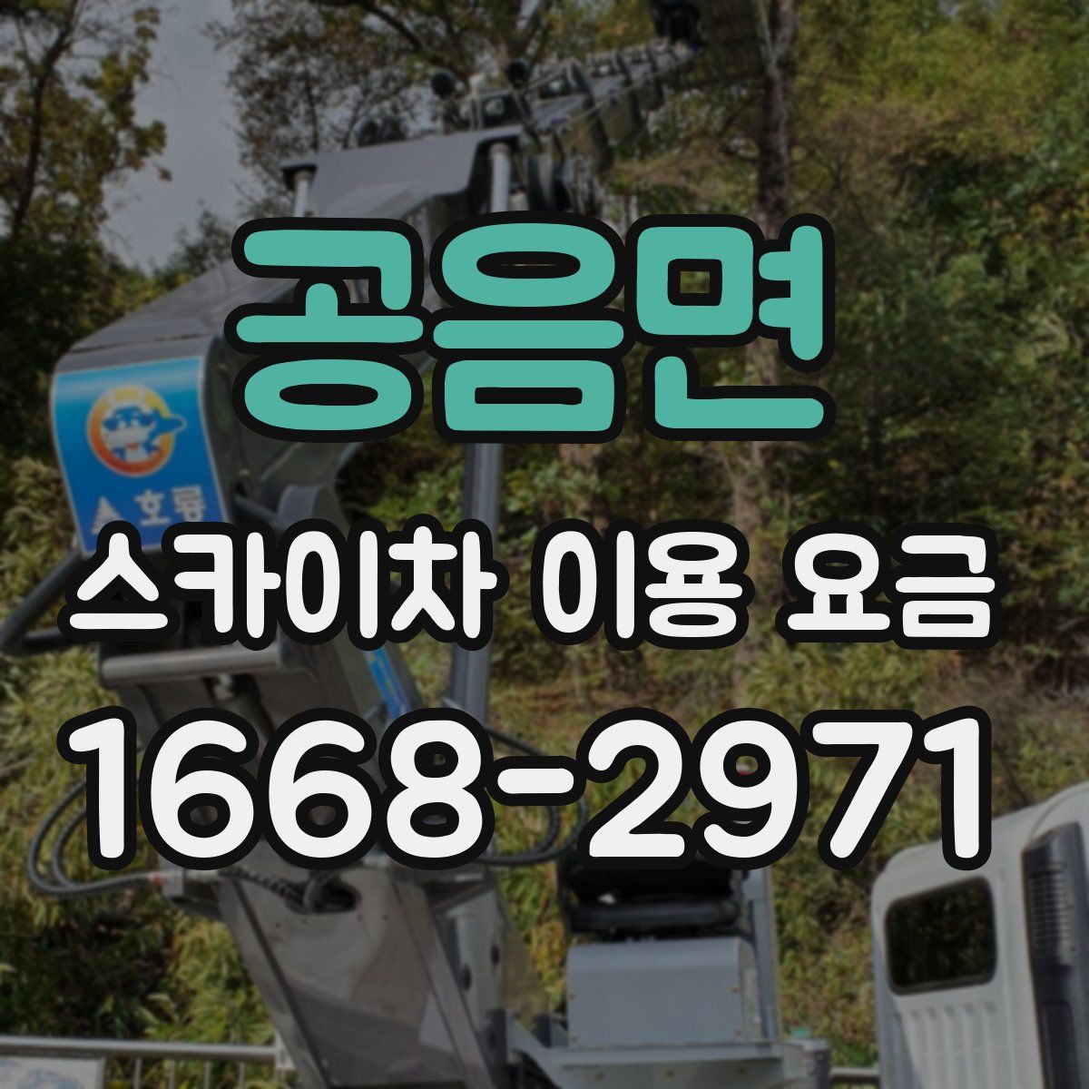 공음면 스카이차 이용 요금