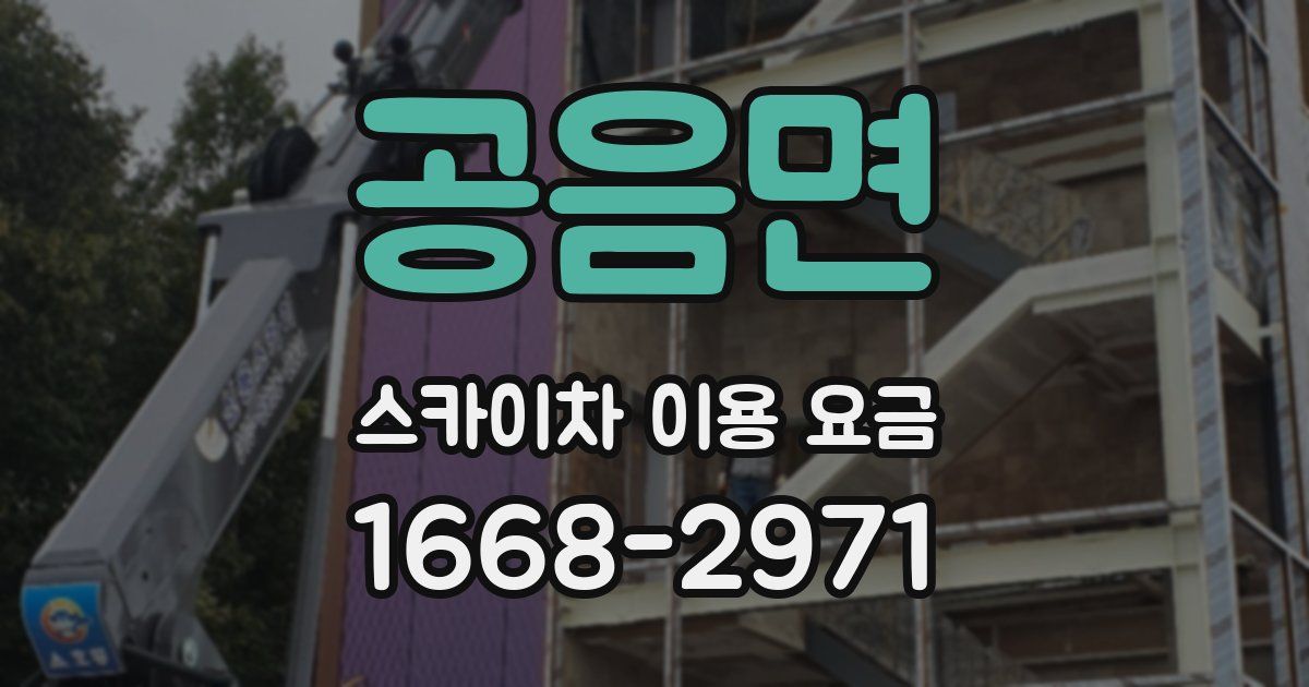 공음면 스카이차 이용 요금