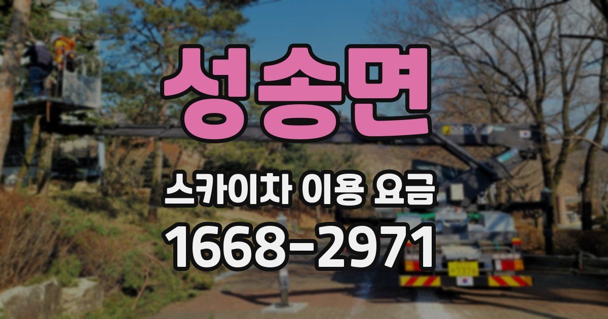 성송면 스카이차 이용 요금
