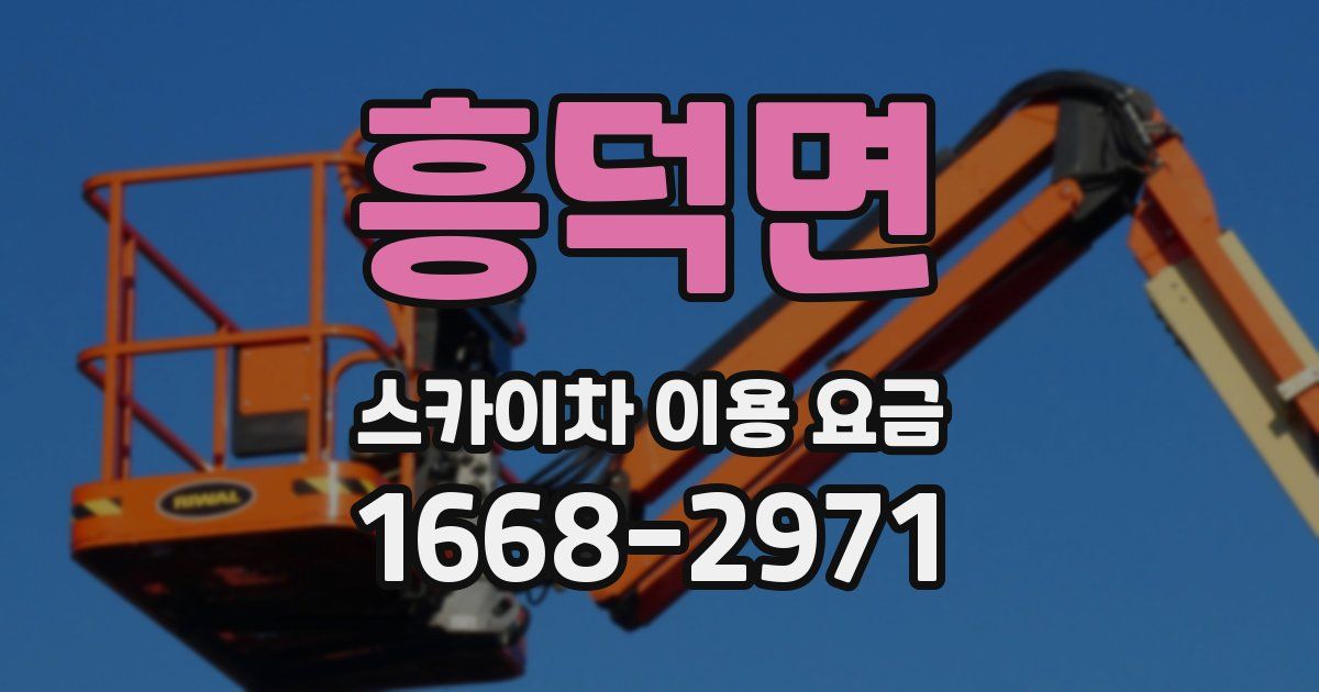 흥덕면 스카이차 이용 요금