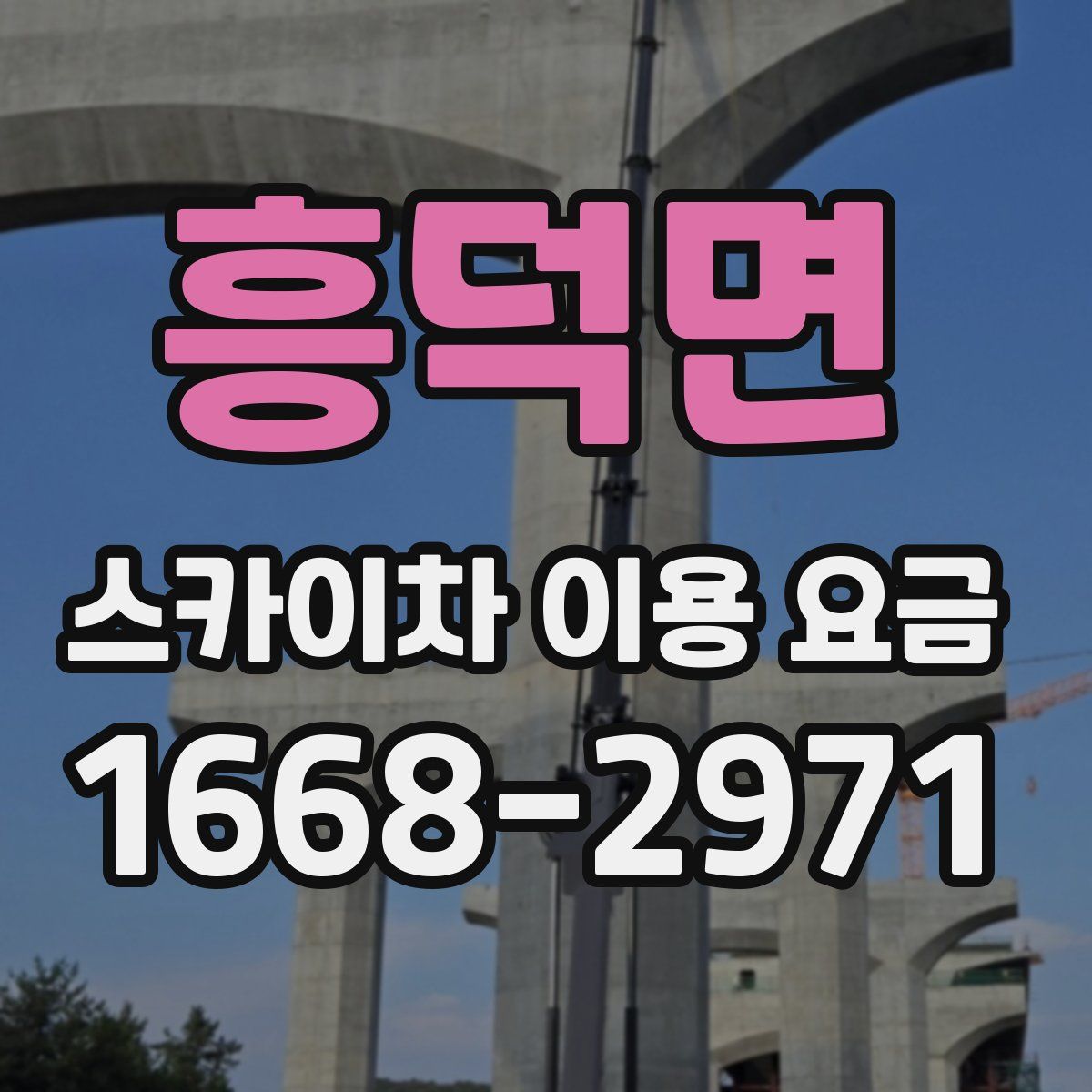 흥덕면 스카이차 이용 요금