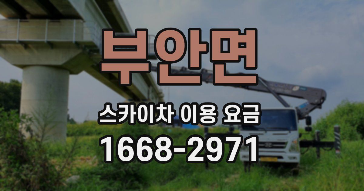 부안면 스카이차 이용 요금
