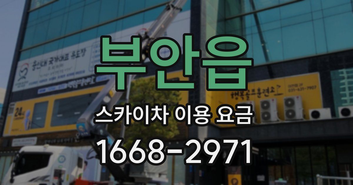 부안읍 스카이차 이용 요금