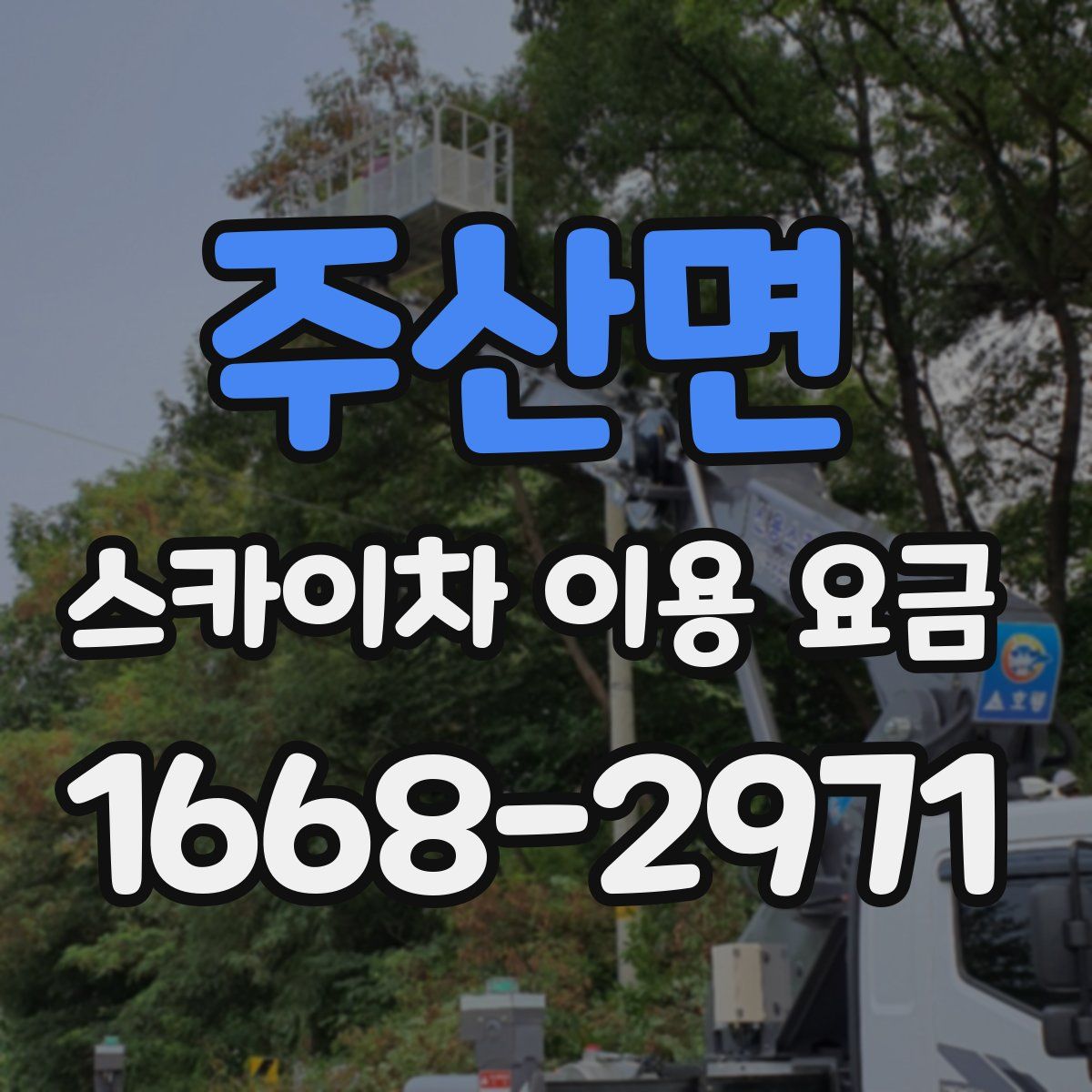 주산면 스카이차 이용 요금