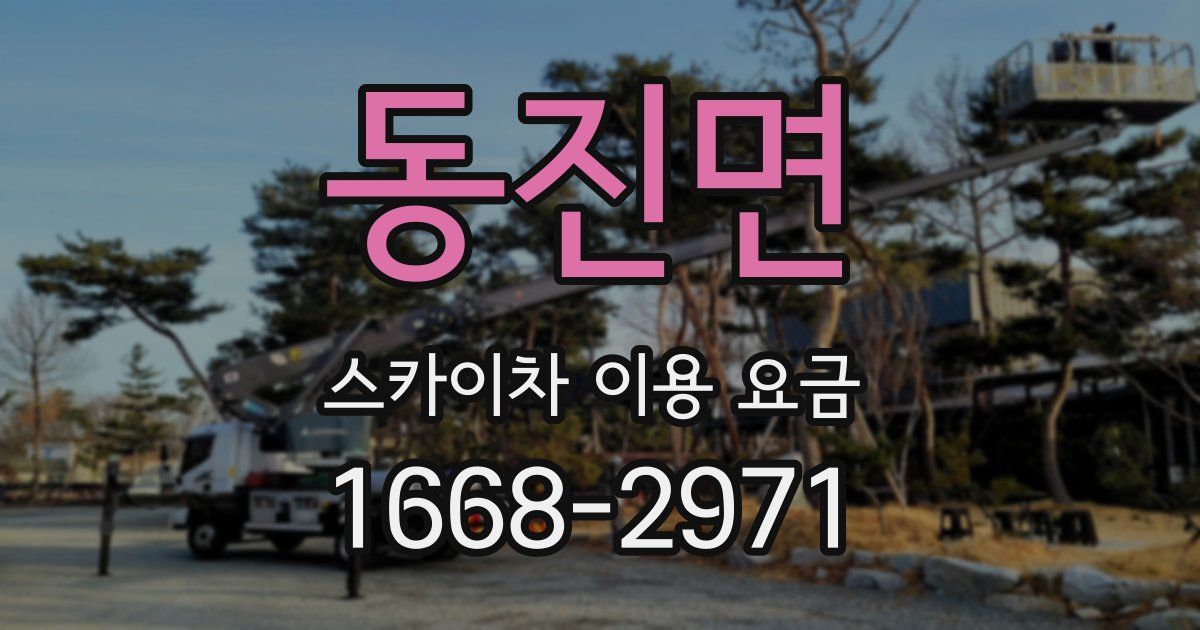 동진면 스카이차 이용 요금