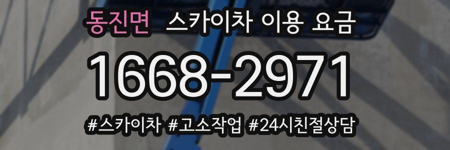 동진면 스카이차 이용 요금