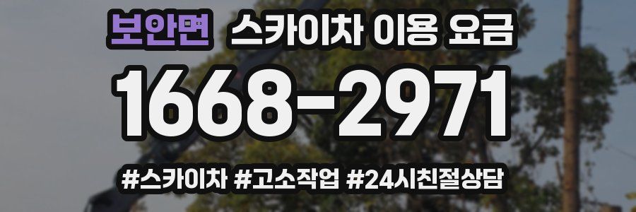 보안면 스카이차 이용 요금
