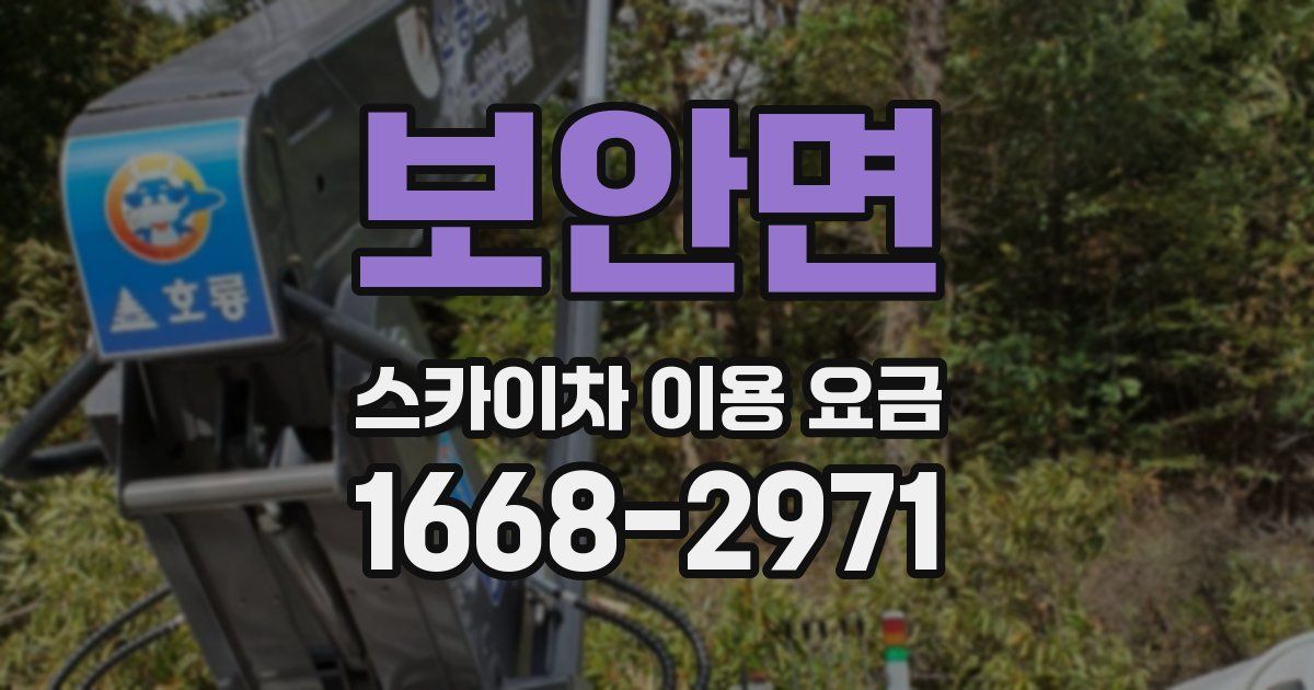 보안면 스카이차 이용 요금