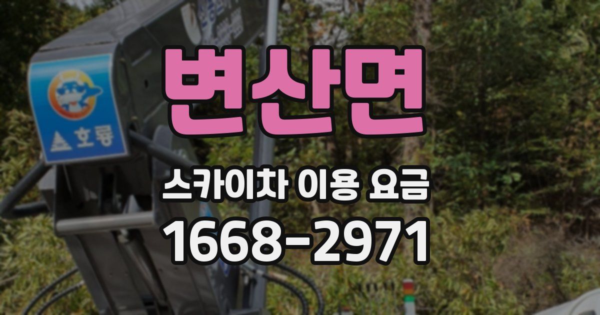 변산면 스카이차 이용 요금