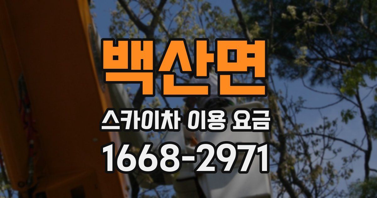 백산면 스카이차 이용 요금