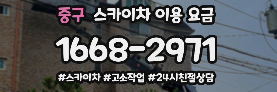 중구 스카이차 이용 요금
