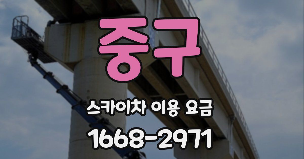 중구 스카이차 이용 요금