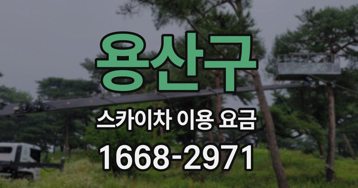 용산구 스카이차 이용 요금