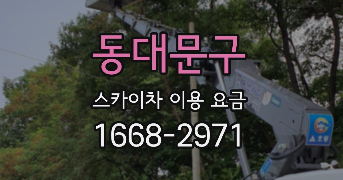 동대문구 스카이차 이용 요금