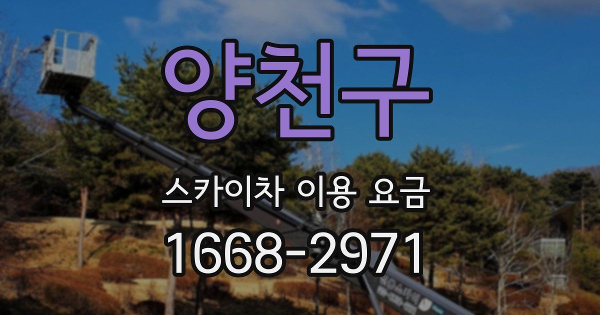 양천구 스카이차 이용 요금