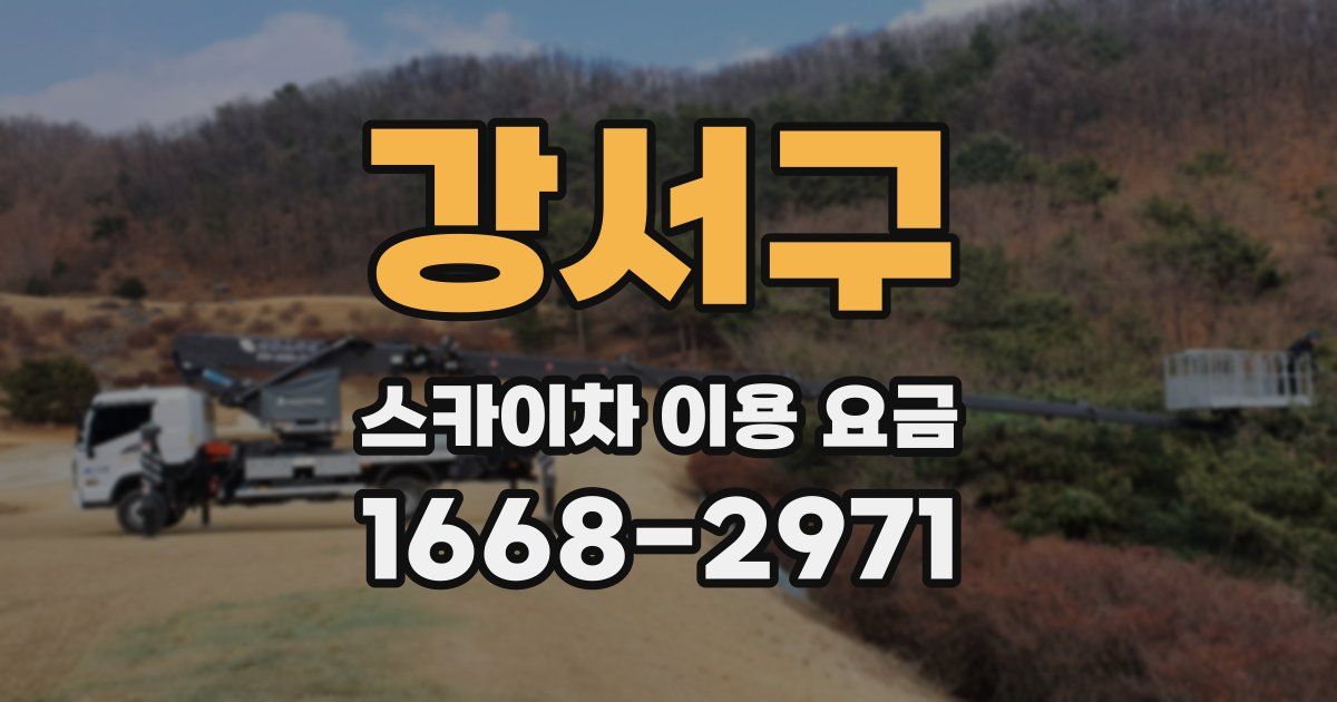 강서구 스카이차 이용 요금