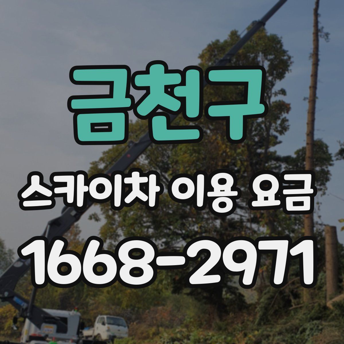 금천구 스카이차 이용 요금