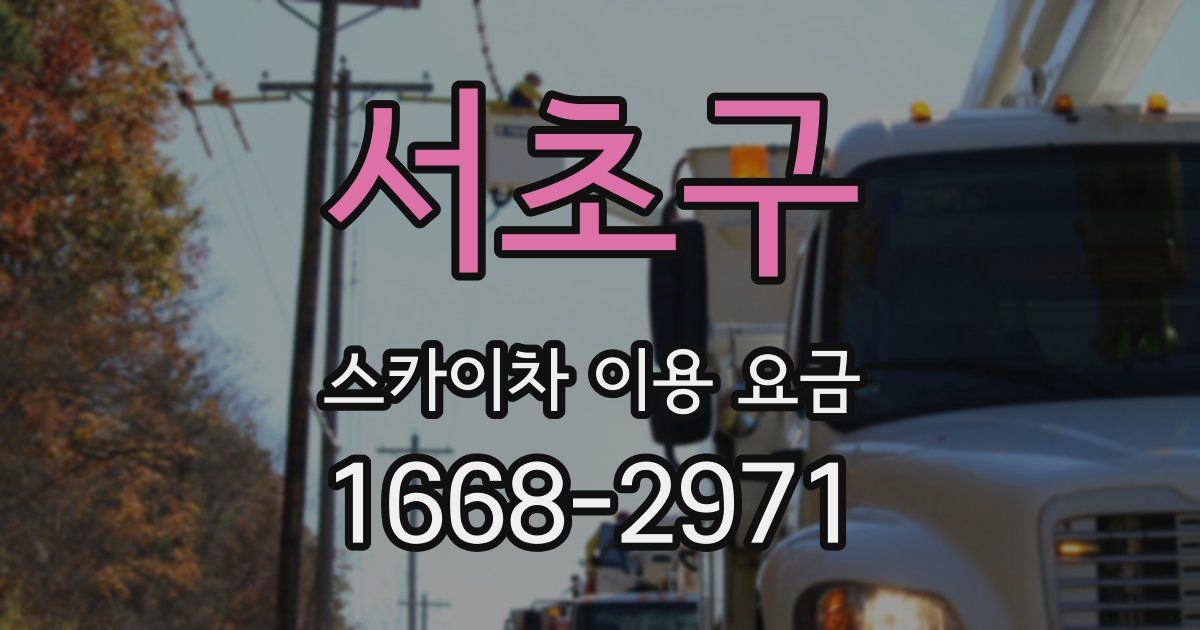 서초구 스카이차 이용 요금